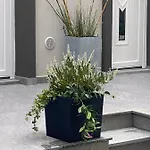 Decoluxe !apartamento Con 1 Da Letto , In Zona San Paolo , Via Martiniana Lejlighed Torino