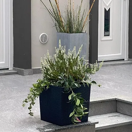 Decoluxe !apartamento Con 1 Da Letto , In Zona San Paolo , Via Martiniana Apartment Turin